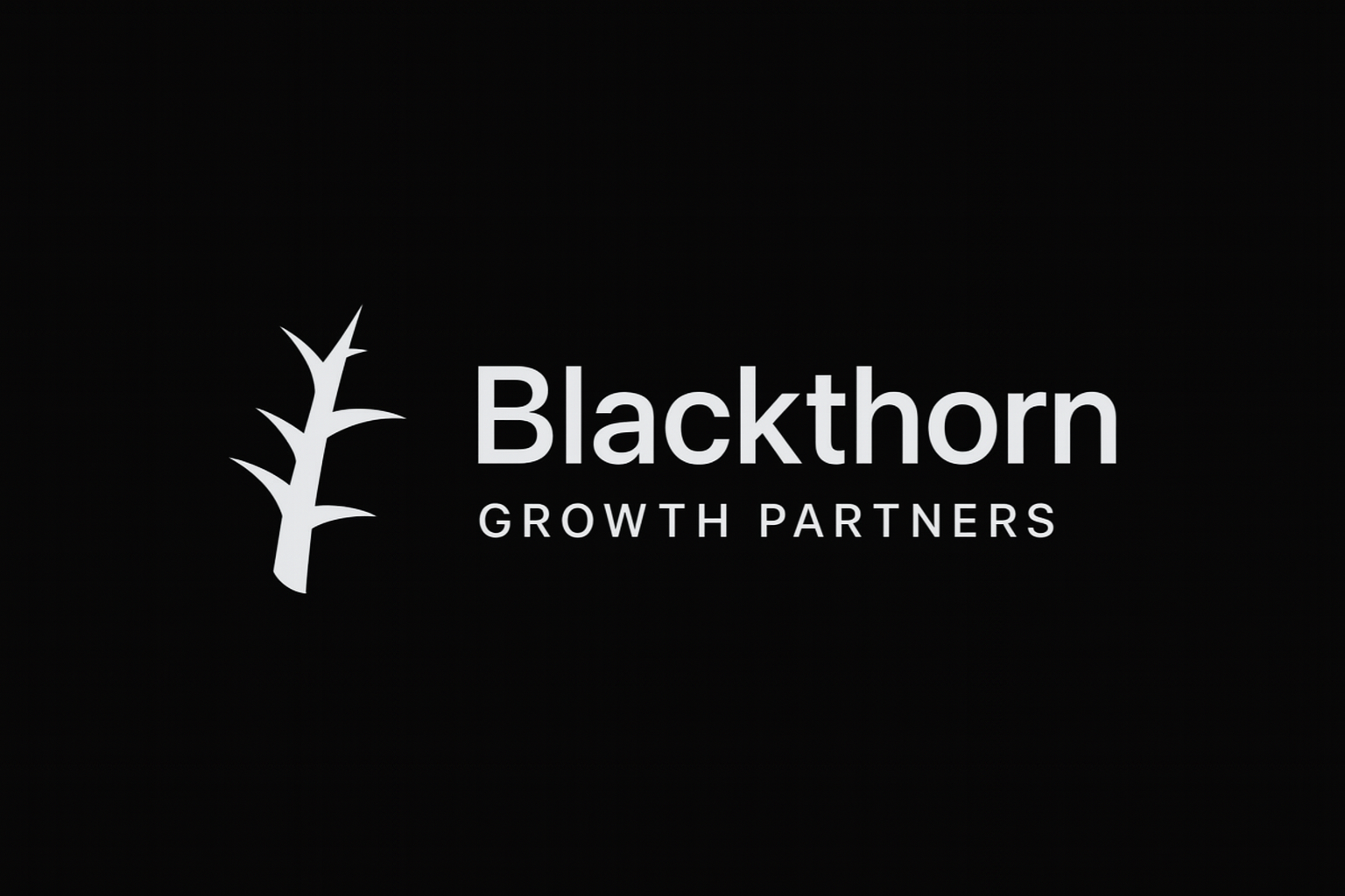Blackthorn Growth Partners